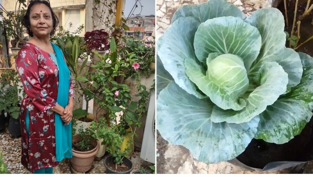Dr. Rekha Mistry has a compact garden in surat 