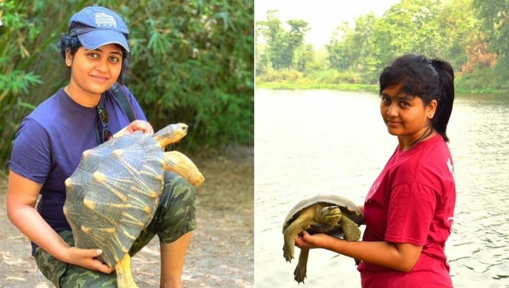Endangered Species Of India, Turtles, Tortoise, crocodile