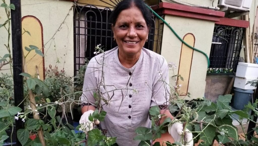 Dr. Mohini Gadhiya at her terrace garden 