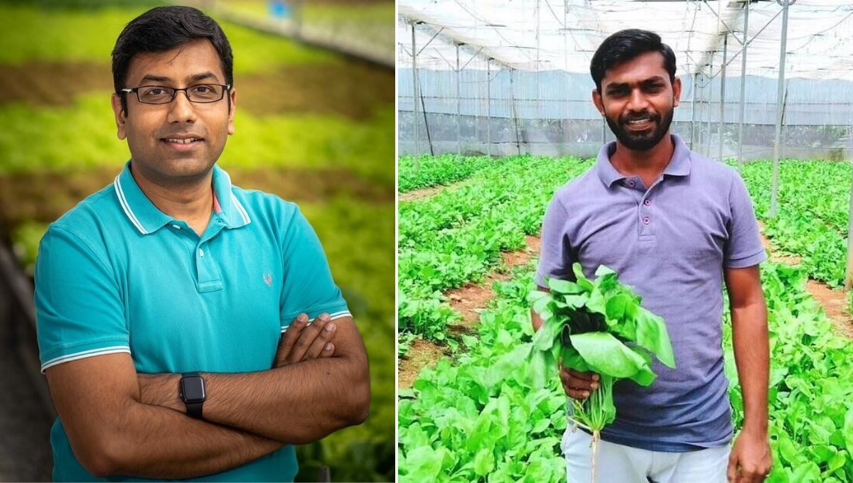R Kishor Nanda, Spinach farming