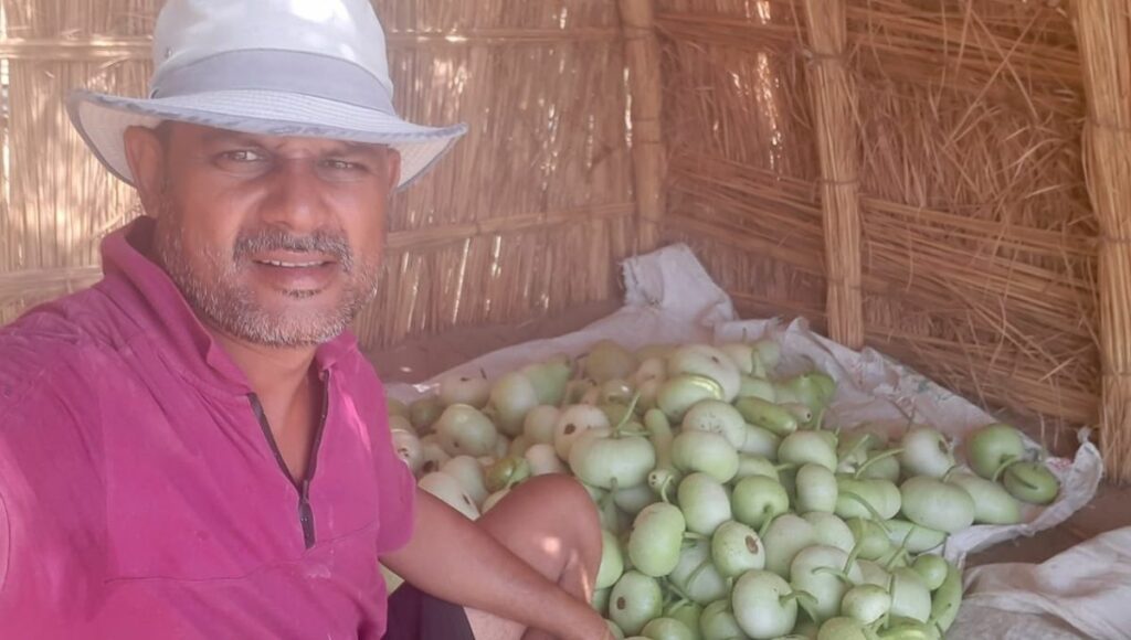 Ravi Bishnoi left job to do farming