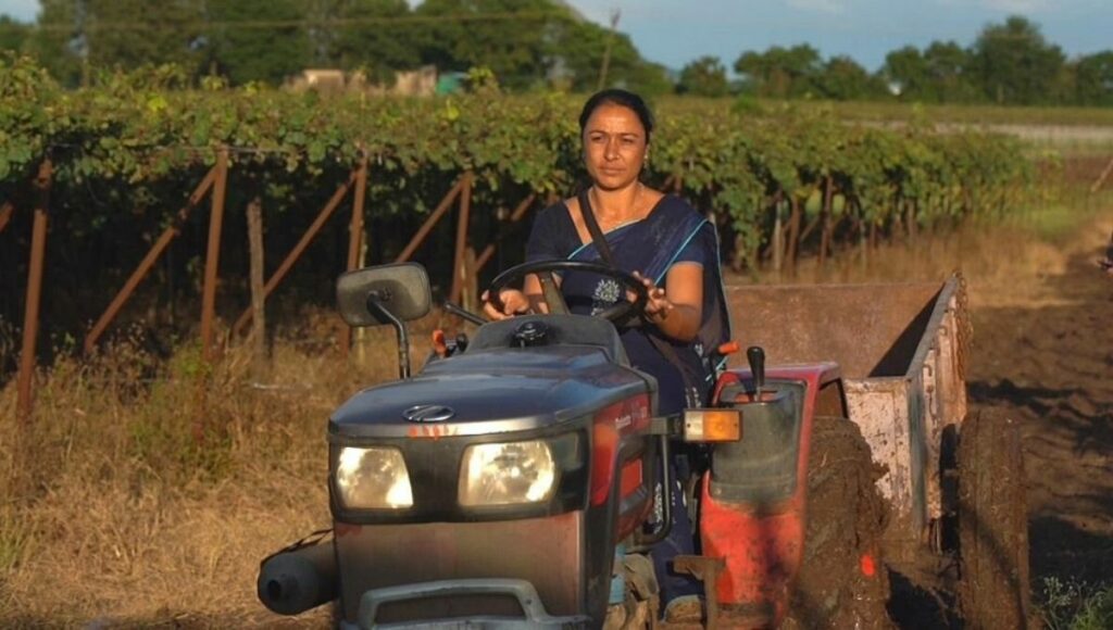 Woman farmer Sangeeta Pingley, Grapes farming