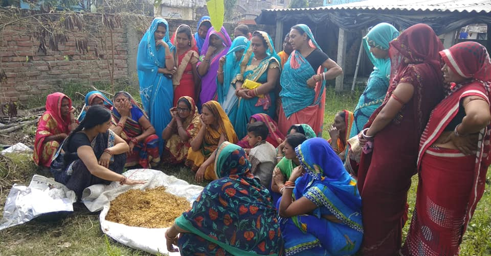 Pushpa giving mushroom training to women