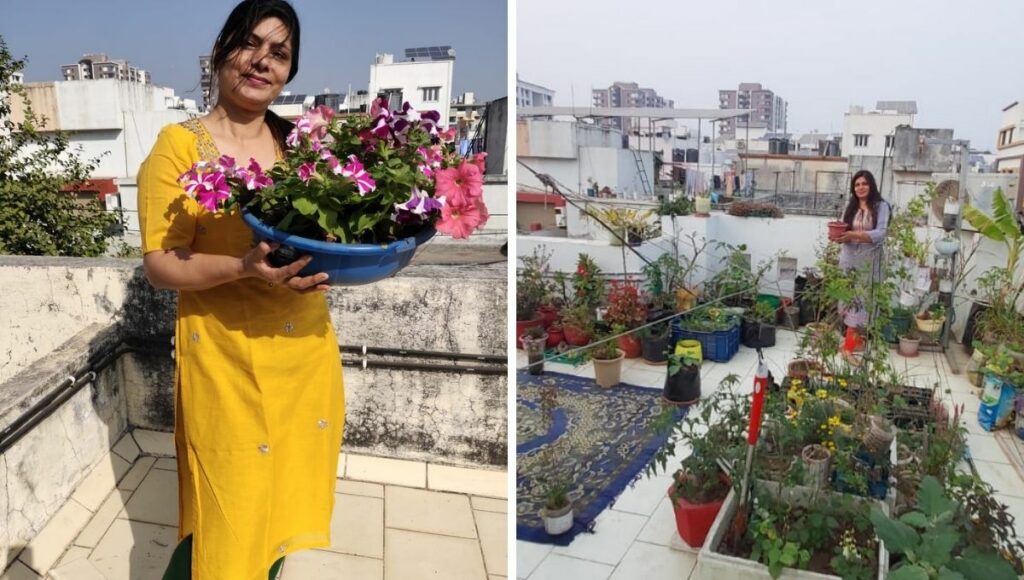 Minal Pandya growing fruits, vegetables and flowers at her terrace 