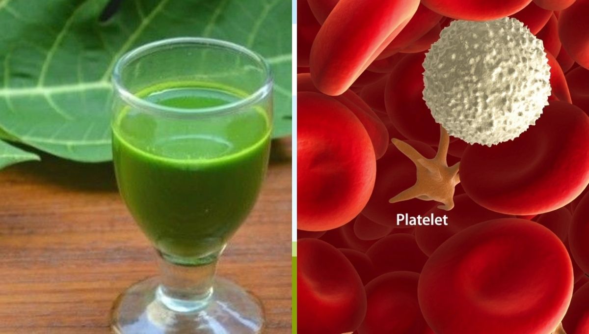 Increase Platelet Count Naturally