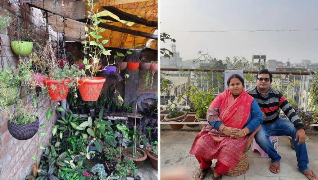 Patna Couple Starts Nursery Business From Home