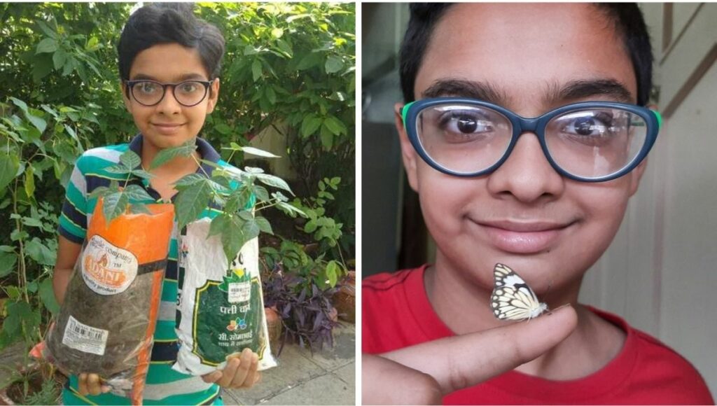 13 YO Gujarat Boy Started Gardening In Lockdown To Attract Butterflies