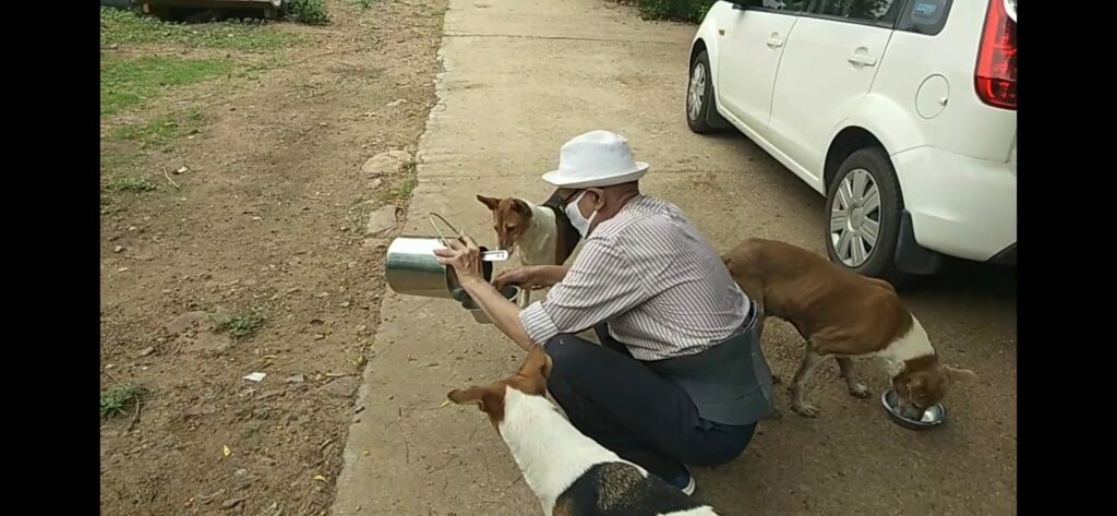Shyamveer Singh feeding street dogs