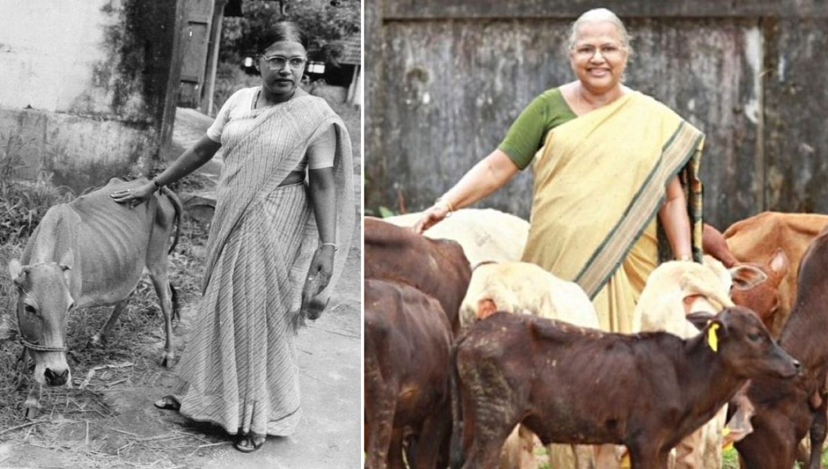 Padma Shri Dr. Sosamma Iype working to save Vechur Cows