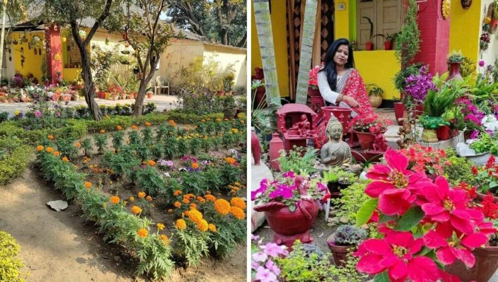 neha's flower garden in dhanbad 