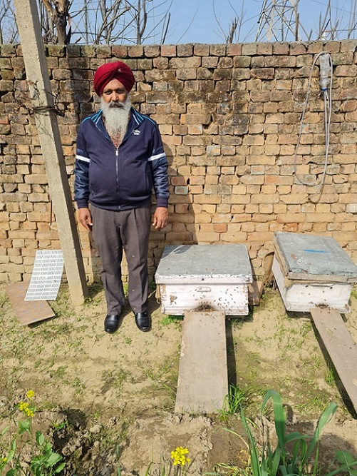 Punjab Bee Farmer Jaswant Singh Tiwana