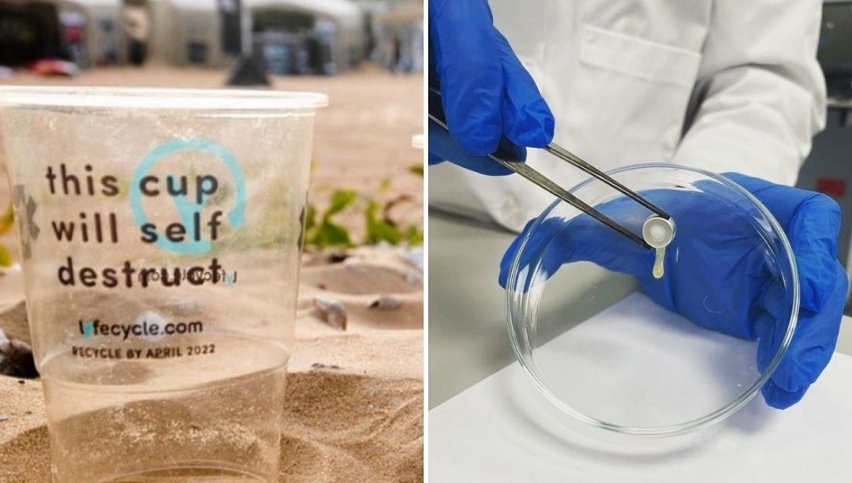 Biodegradable Plastic, which can be recycle too