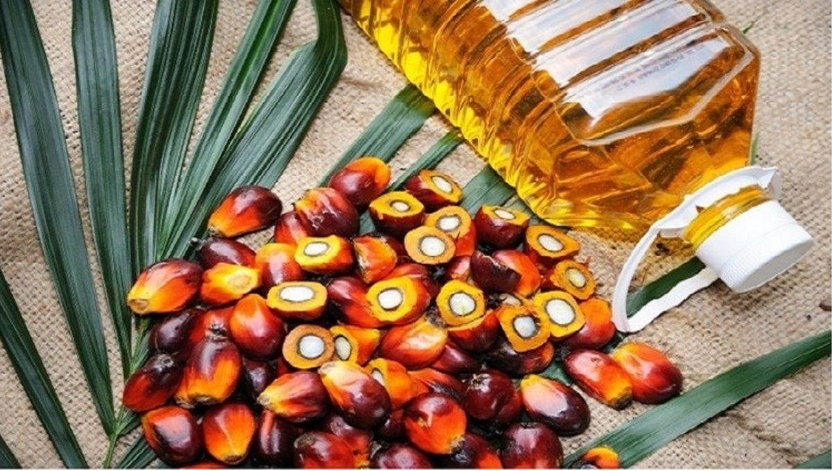 Palm Oil, RSPO