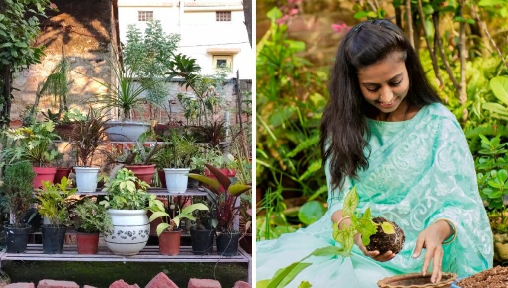 Reshma runs a YouTube channel   Prakriti garden and is earning from youtube
