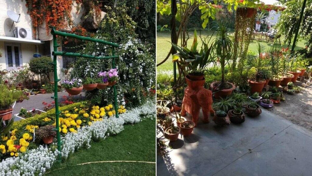  home Garden of Rajeev kumar  