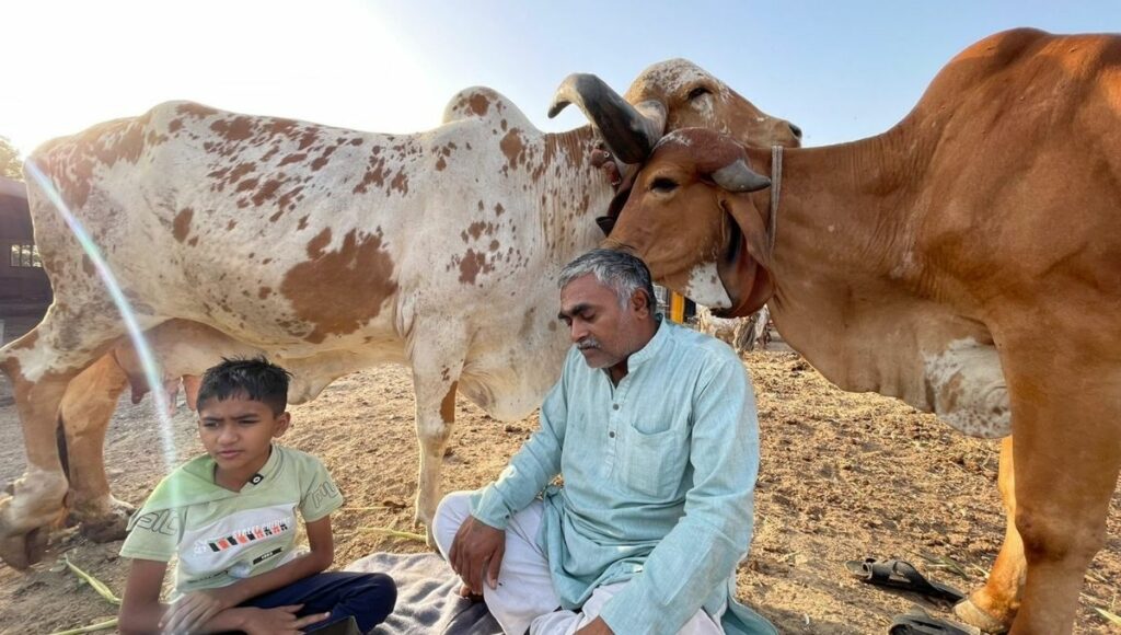 guarat's successful Ramesh Rupareliya sells organic ghee