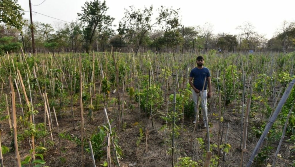 Vishal Srivasatava spreading greenery 