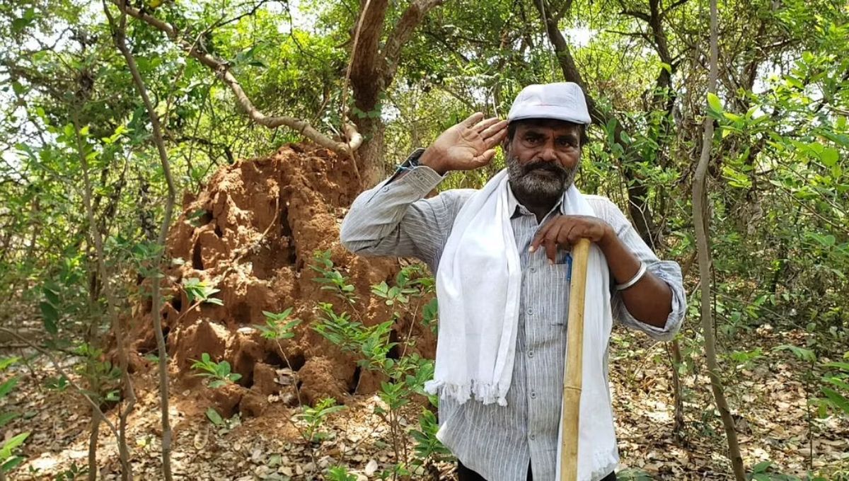 68 YO Dusharla planted 5 Cr trees, converted ancestral land into forest in Telangana