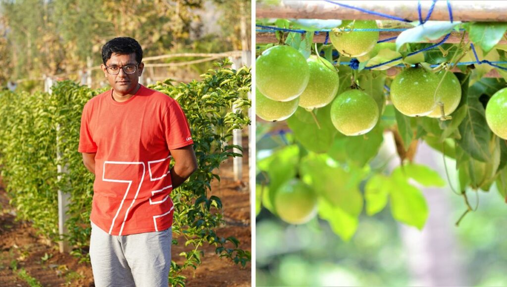 chetan soorenji cultivating passion fruit on his garden 