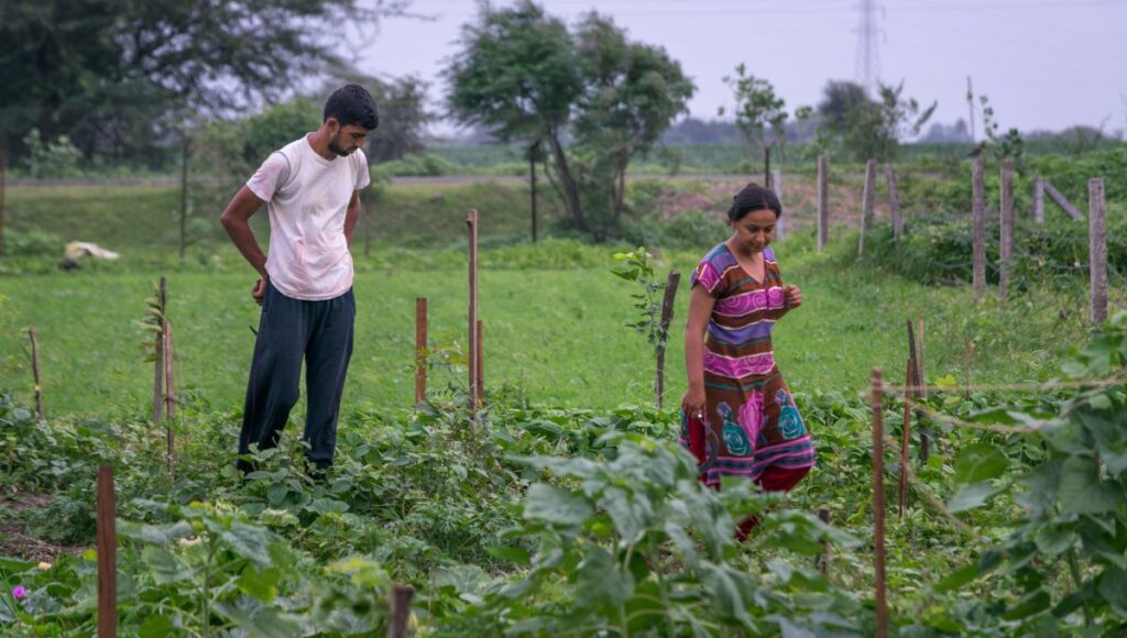 Arpit and Sakshi is doing organic farming and simple living
