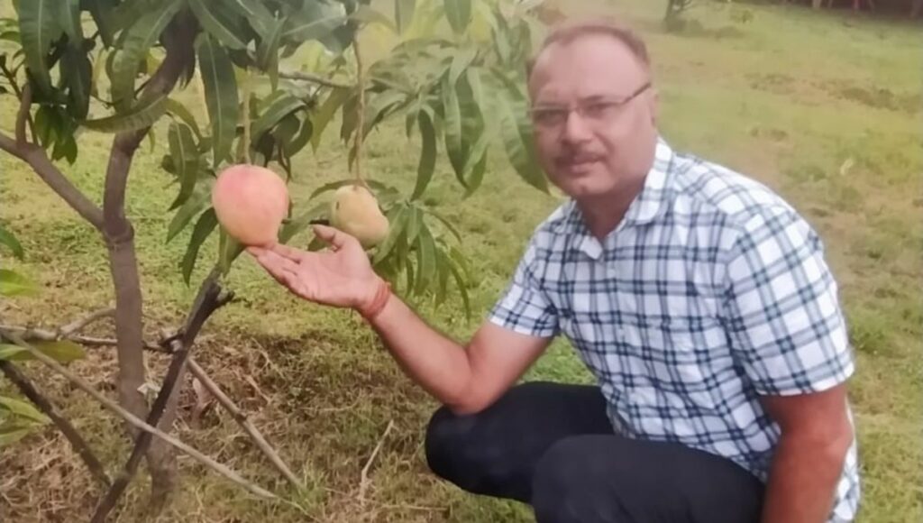 Sankalp a mango farmer 