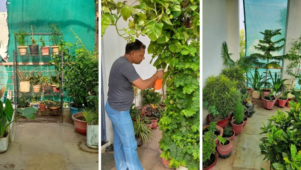 Mukesh Kale At His Terrace Garden 