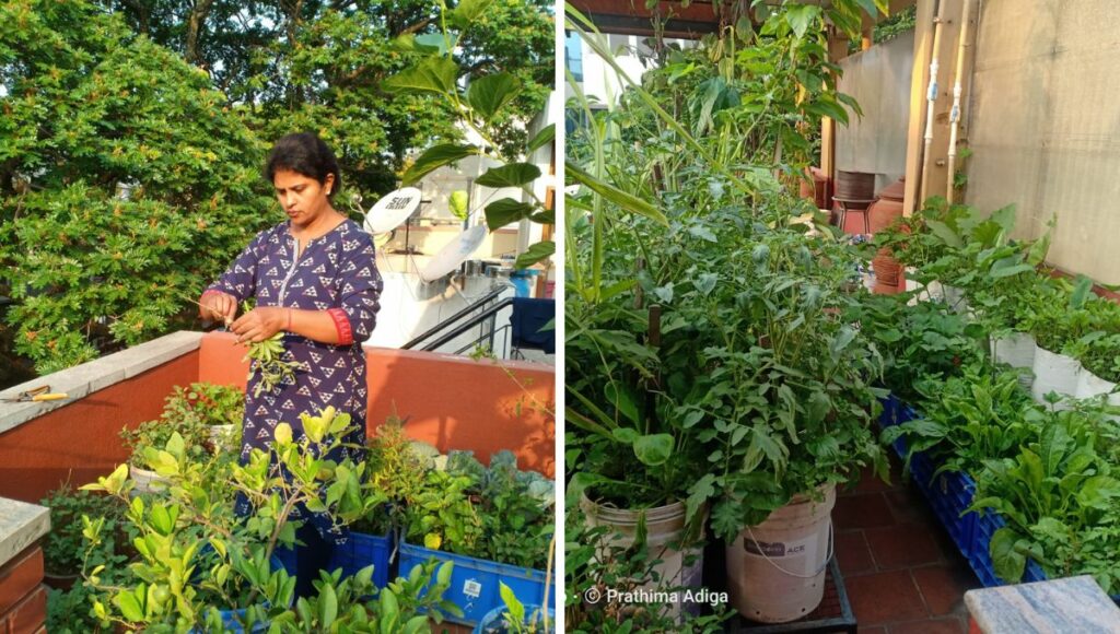 Pratima Adiga At her terrace garden 