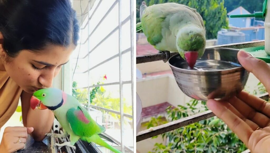 radhika while feeding birds 