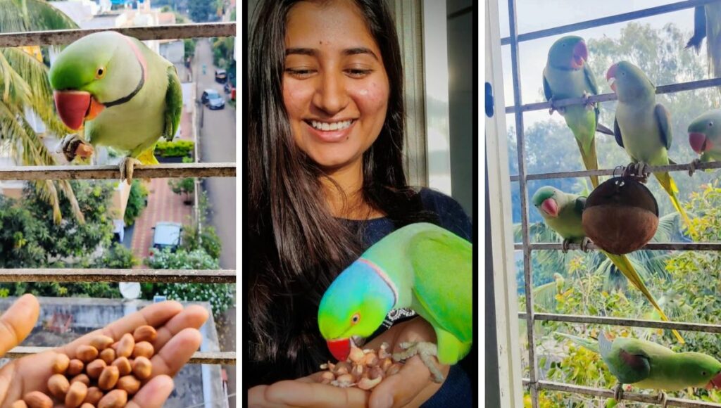 Radhika a bird lover from Pune 