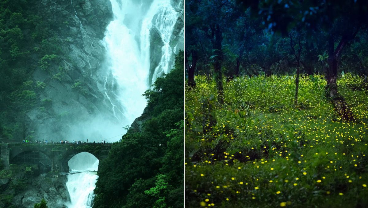 Monsoon Trip in India: Places that become more beautiful during rainy season