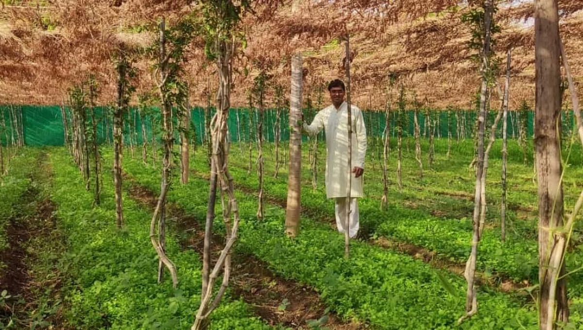 Akash Chaurasiya is doing multi layer farming