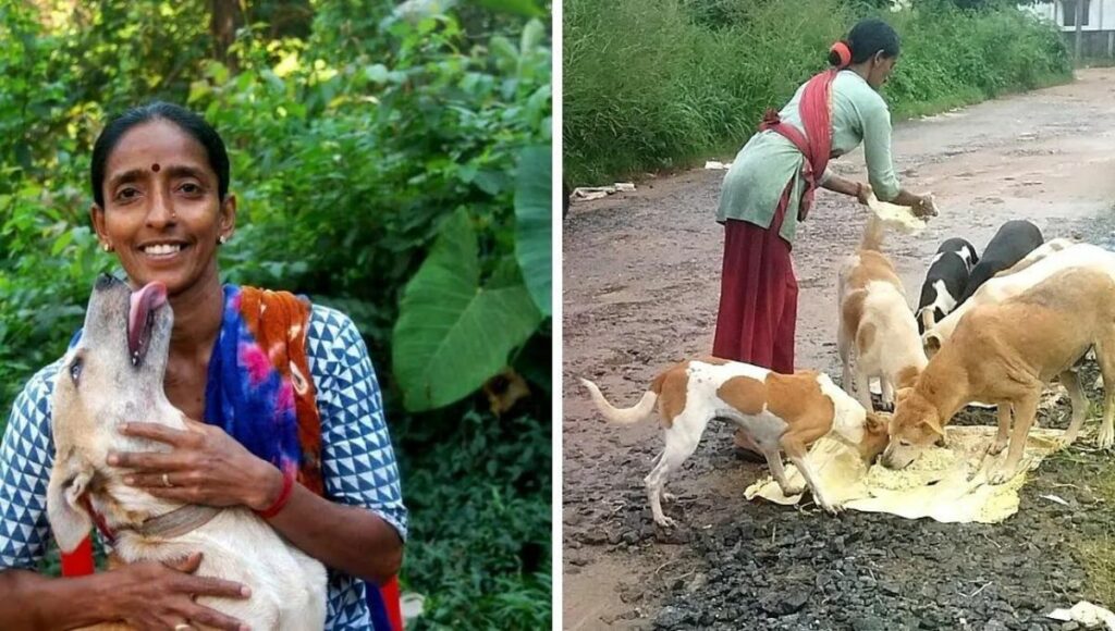 Rajani Shetty Feeding stray dogs  