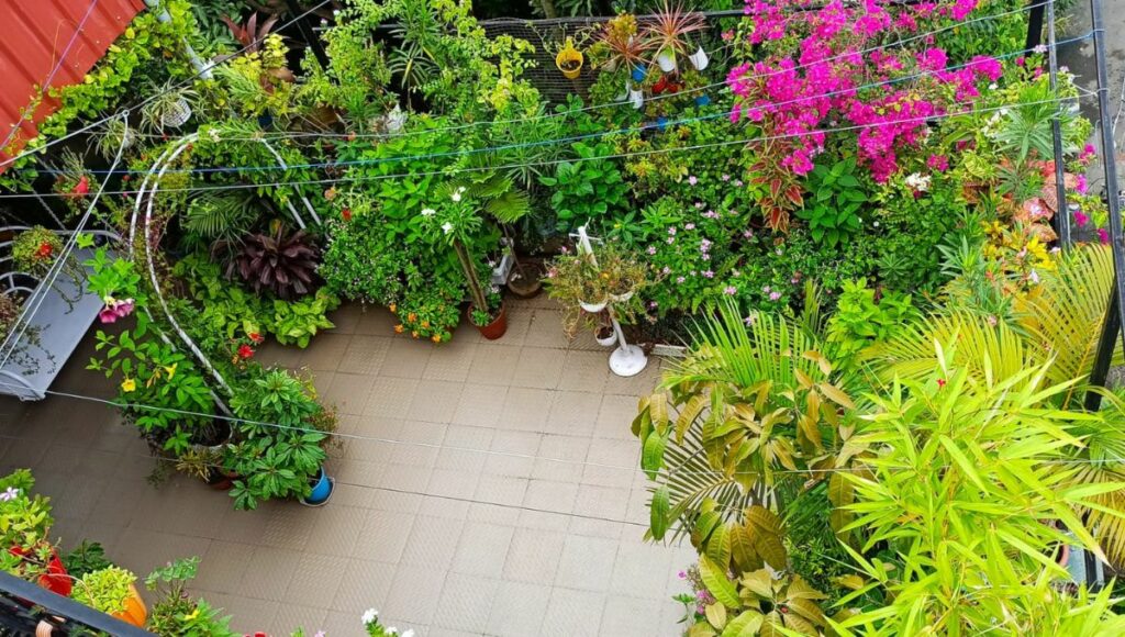 Home Terrace Garden