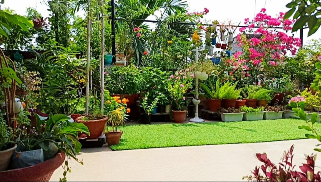 Beautiful Home Garden 