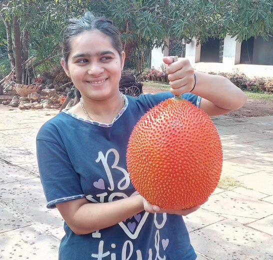 Gagana with Orange jackfruit