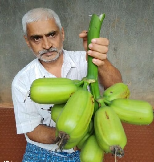 Rajendra Hindumane with a bunch of Populo Bananas.