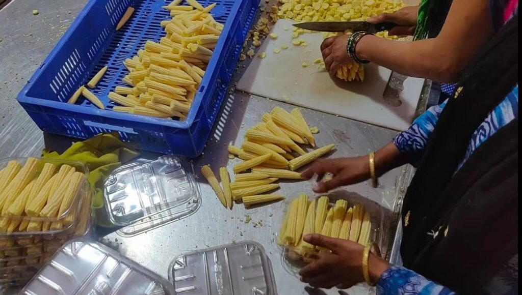 Many food items are made from baby corn.

