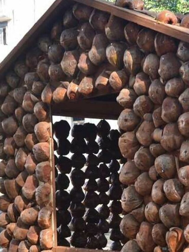 coconut shell home
