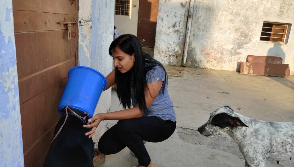 Sonal helping dogs