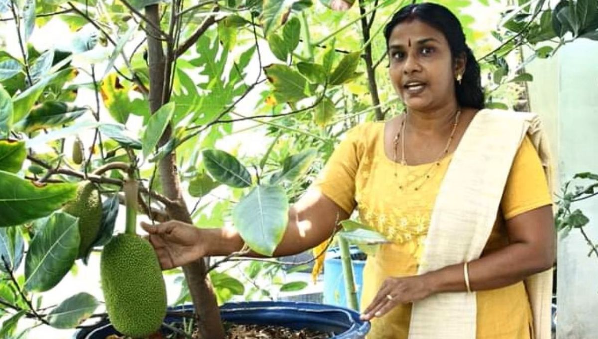 Kerala gardening