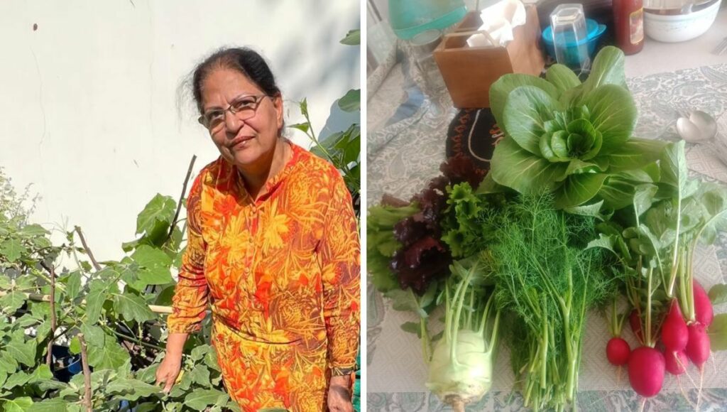 gardening course helps shashi to grow vegetables 