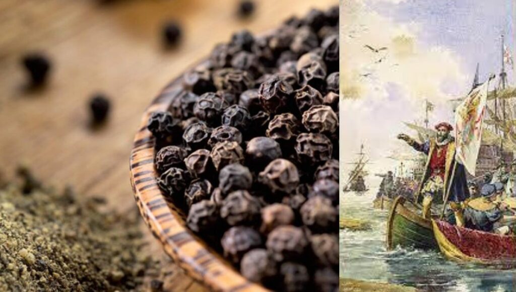 India's Black Pepper became attraction for businessmen around the world. 