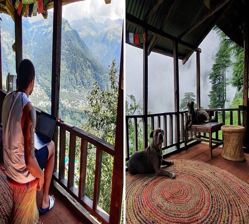 Jungle Hut, an eco-friendly mud home in Himachal Pradesh.