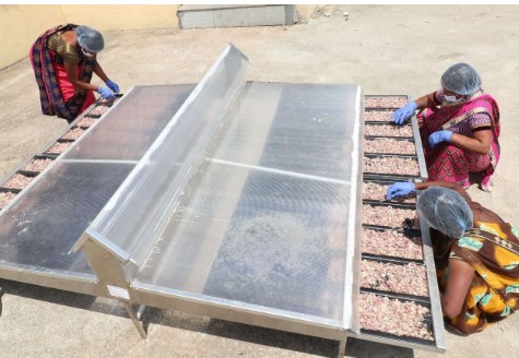 women drying vegetables in Solar Dryer