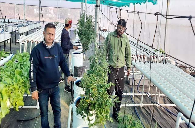 Naveen Sharma is doing hydroponic farming in Jogindar Nagar, Himachal Pradesh 