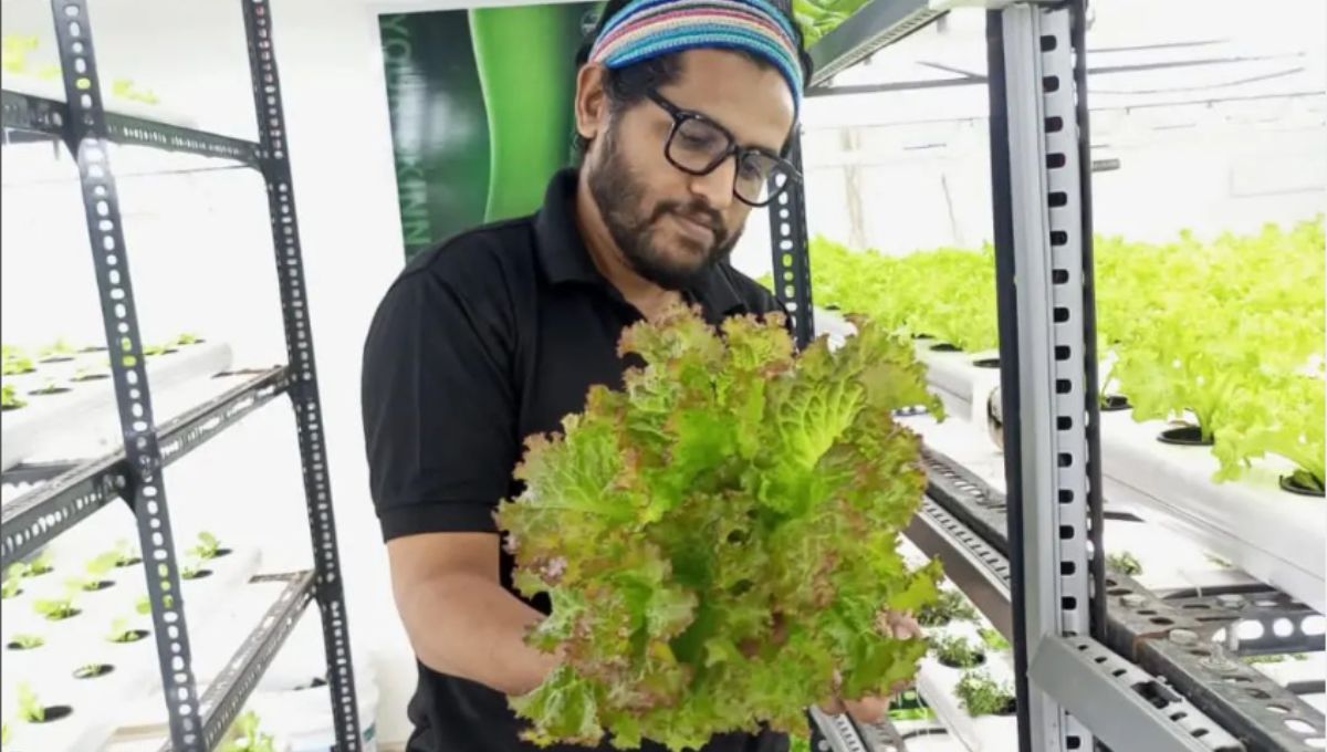 Nitin Maali doing hydroponic Farming in Mumbai