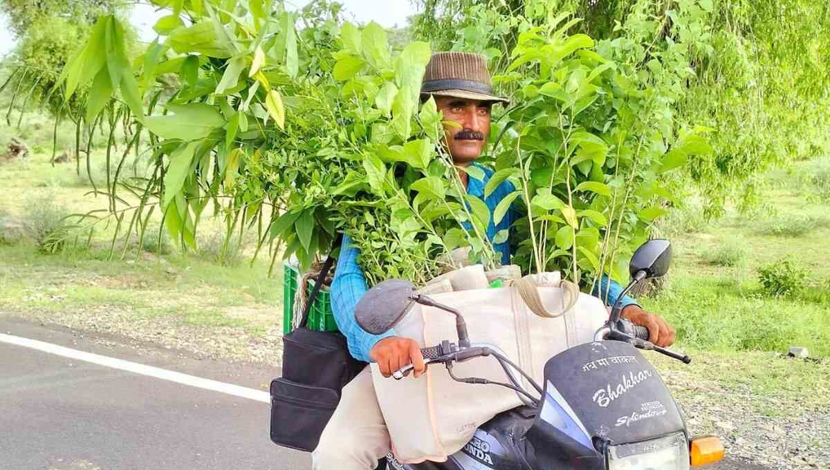Tree Teacher Rajasthan (2)
